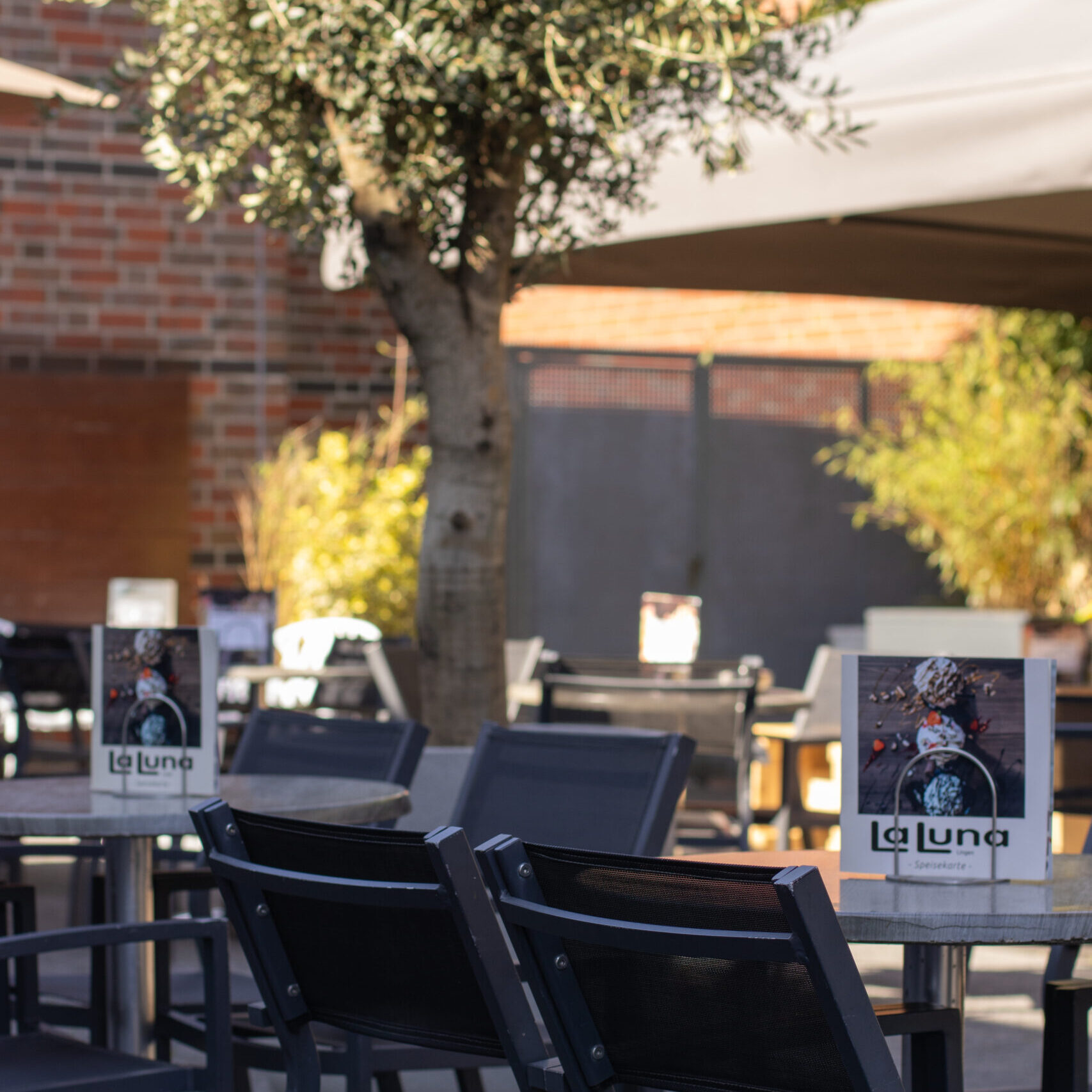 lingen_terrasse