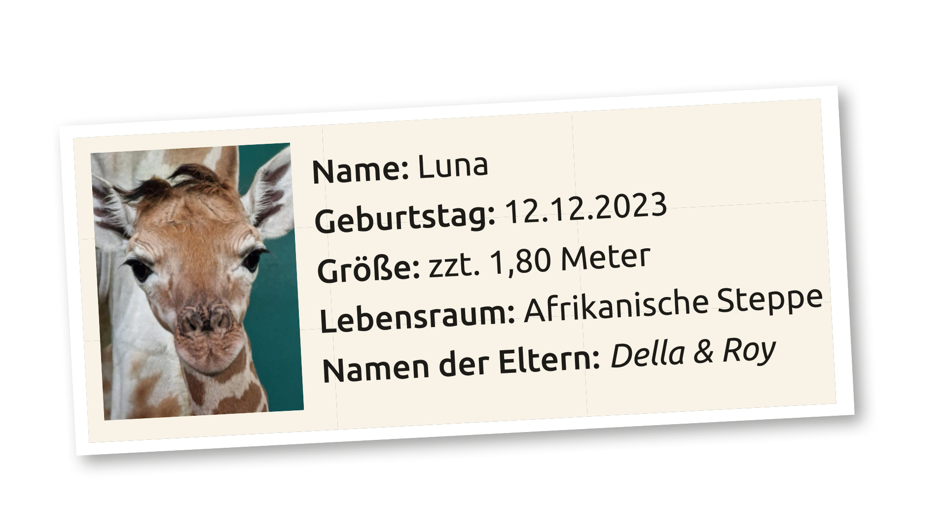 Steckbrief_Luna